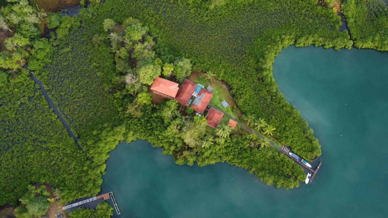 Casa Marlin Bed and Breakfast Μπόκας ντελ Τόρο Εξωτερικό φωτογραφία