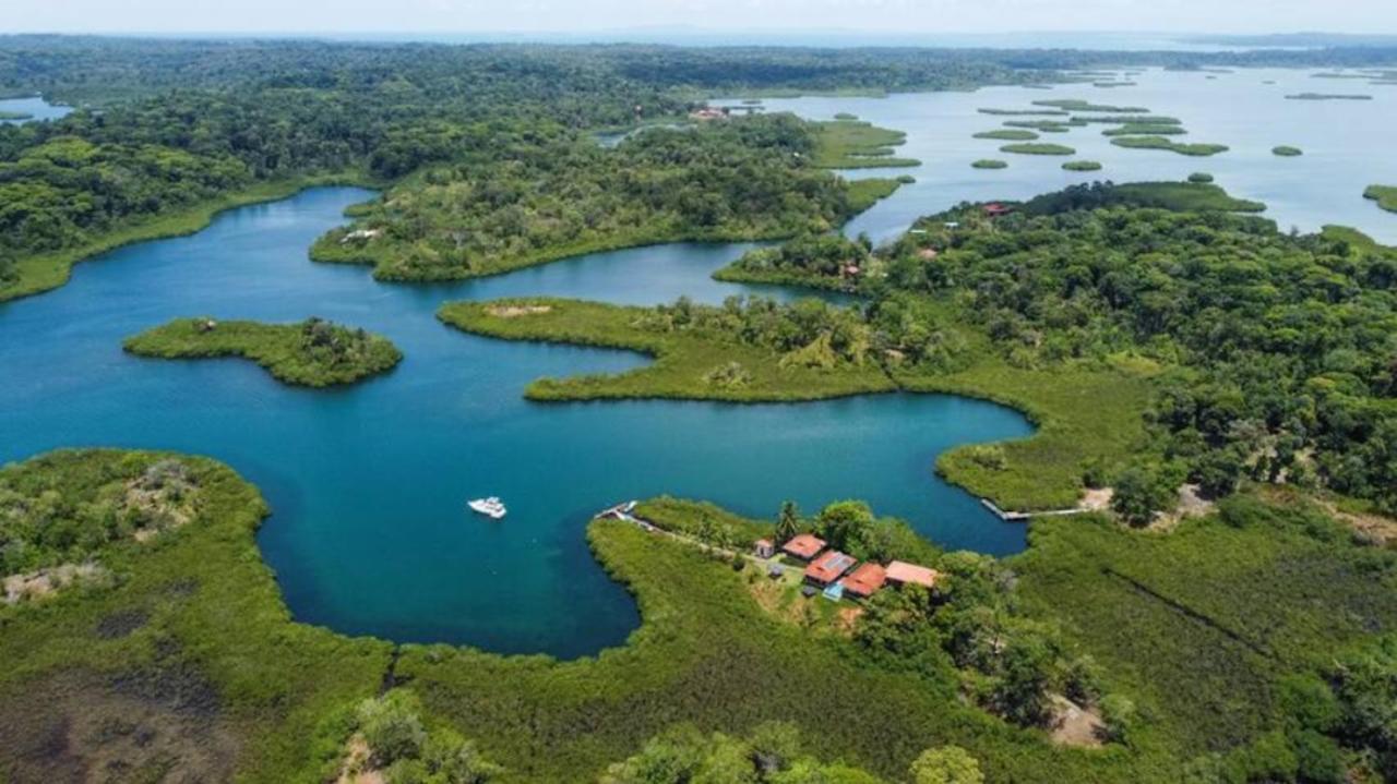 Casa Marlin Bed and Breakfast Μπόκας ντελ Τόρο Εξωτερικό φωτογραφία