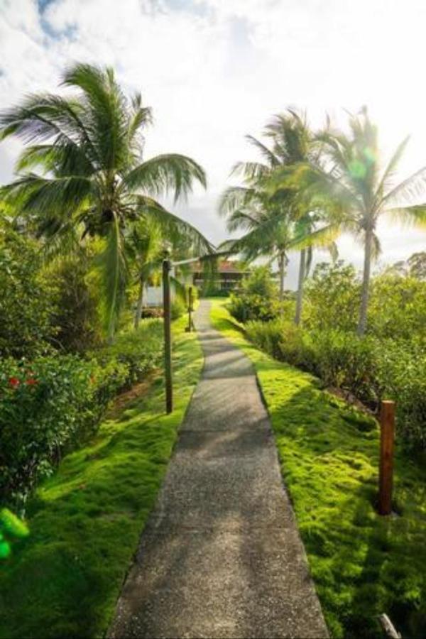 Casa Marlin Bed and Breakfast Μπόκας ντελ Τόρο Εξωτερικό φωτογραφία